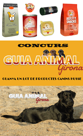 V CONCURS GUIA ANIMAL