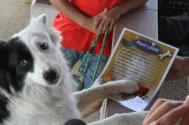 Restaurante con menú para perros