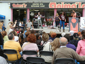 Desfilada canina solidària per en Gerard i en Marc