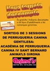 SORTEO 3 SESIONES DE PELUQUERIA CANINA