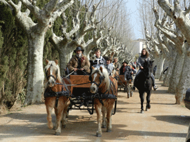 Cercavila de Cavalls i Carruatges. Festa de St.Antoni