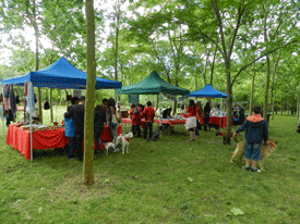 2º Desfile de perros para el civismo