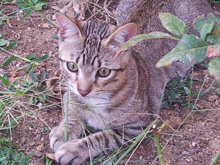 Perdido en Palamós