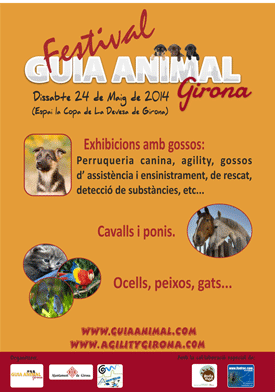 Concurso de fotografia Festival Guia Animal