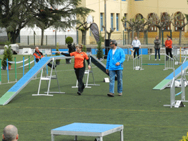 Prova puntuable campionat del món Luxemburg 2014