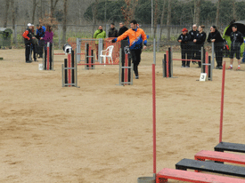 Campionat de Catalunya d'Agility