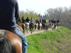 Más de 200 caballos en el 2º desfile de Torroella de Montgrí