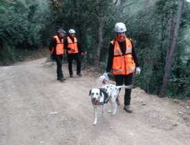 Acath colabora en la búsqueda de Camós