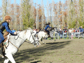 Feria Sant Martirià Banyoles 2015