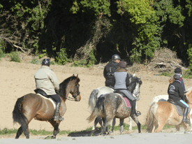 3a Cercavila Sant Antoni Abat