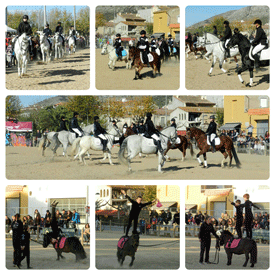 FIRA DE SANT ANDREU