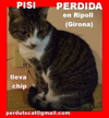 Perdida en Ripoll