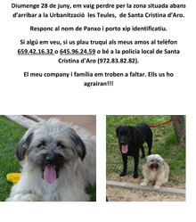 Perdido en Santa Cristina d'Aro