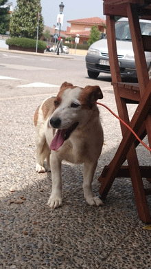 Trobat a Sant Gregori