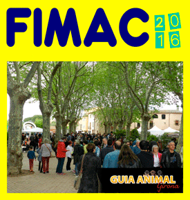 FIMAC 2016