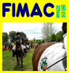 FIMAC 2016. Actividades