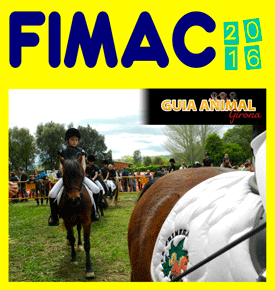 FIMAC 2016. Activitats