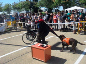 FERIA ANIMALISTA DE MONTJUIC