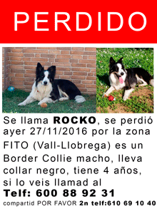 Perdido en  Fitó (Vall Llobrega)