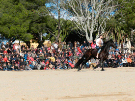 FESTIVITAT DE SANT ANTONI ABAT