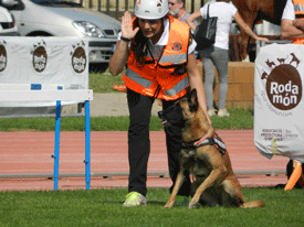 VII FESTIVAL RODAMÓN DE PERROS DE ÉLITE