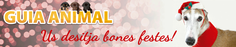 Bon Nadal!