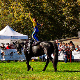 III FESTIVAL GUIA ANIMAL 2018