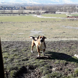 Perdido en Llívia