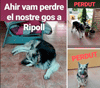 Perdido en Ripoll