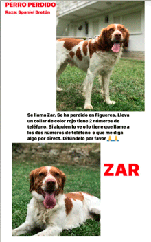 Perdido en Figueres