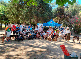 Paseada canina organizada por el Colegio de Veterinarios de Girona