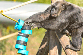 ¡NUEVOS CURSOS EN MONA!