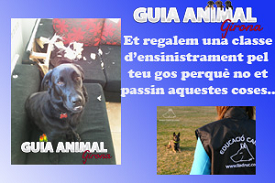 II Concurs Guia Animal Girona