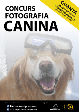 4rt concurs de fotografia canina Julius K9 – Lladruc