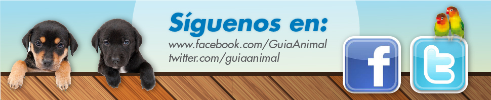 Síguenos en Facebook i Twitter