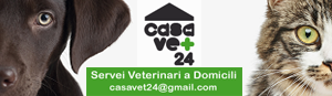 casavet24