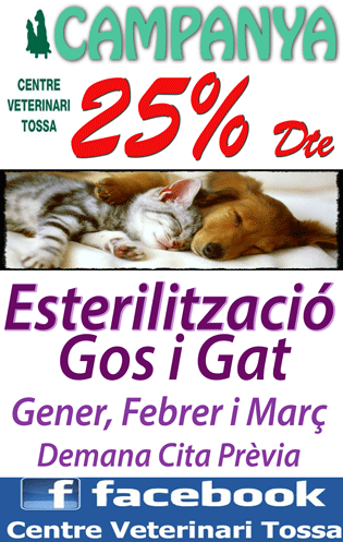 CENTRE VETERINARI TOSSA