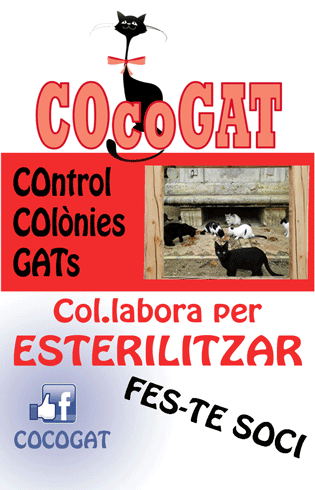 Cocogat
