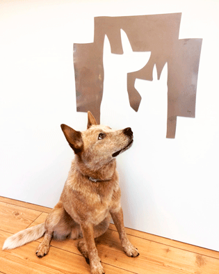 CENTRE VETERINARI BASCARA