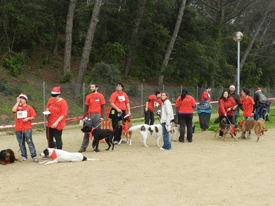 Desfile de perros en Lloret de Mar