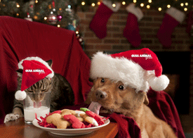 Guia Animal os desea una feliz navidad y próspero año nuevo