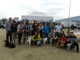Desfile de perros en Sarrià de Ter