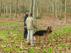 Seminario de perros de rescate