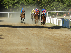 Gran Premio Agosto 2012 Hipódromo de Báscara