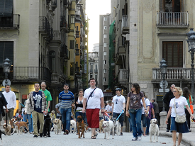 2º Paseo Plataforma de Propietarios de Perros de Girona.